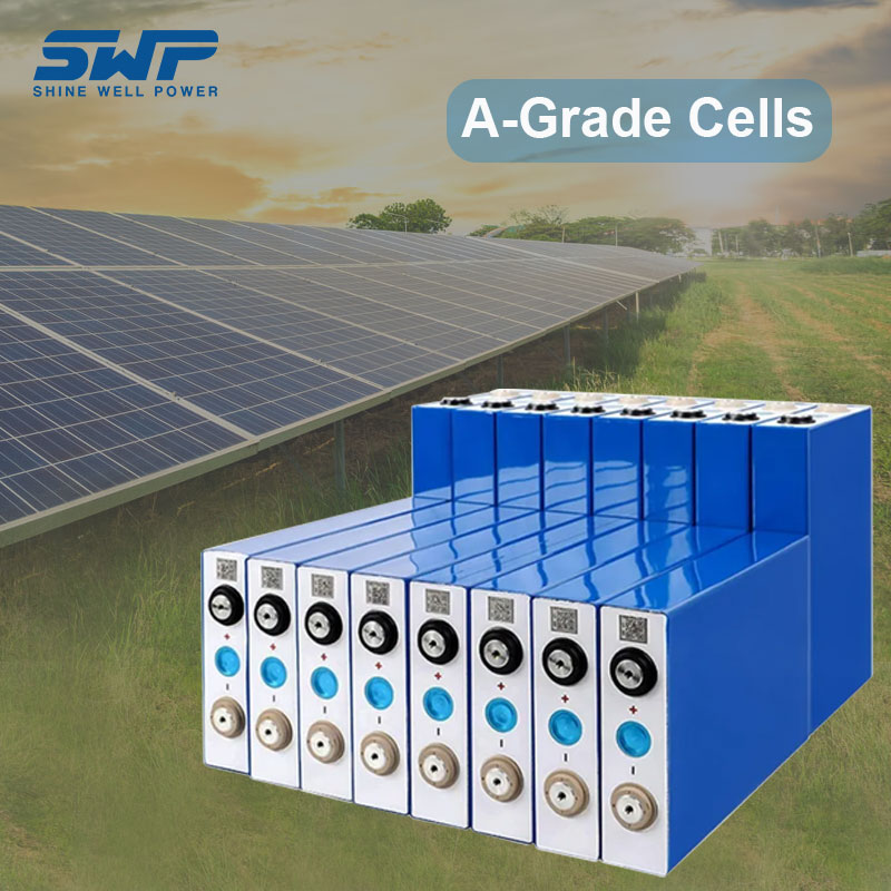 1706253519344518.jpg cells.jpg